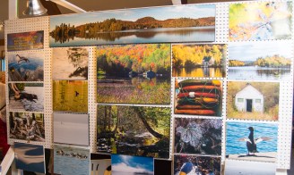 SColvey_HalMyers-4334