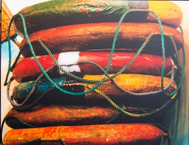 SColvey_HalMyers-4335