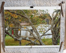 SColvey_Jean-Pierre Joly-2228-WEB