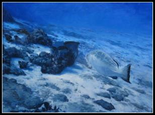 30x40-cruising-at-the-edge-of-the-reef