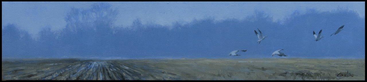 sortie-cote-cour-8x36