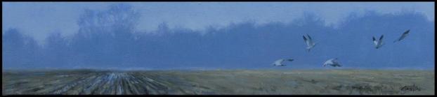 sortie-cote-cour-8x36