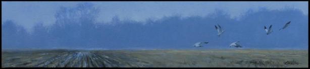 sortie-cote-cour-8x36