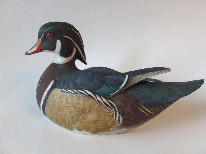 canard branchu